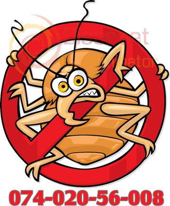cockroaches-killer