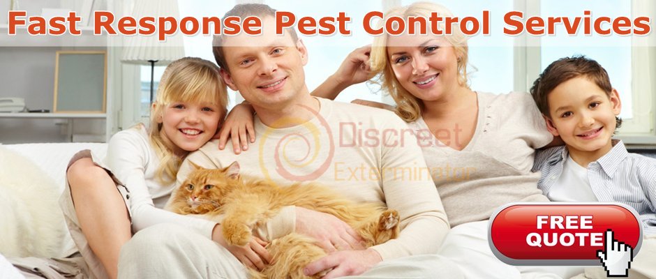 Commercial Control Pest